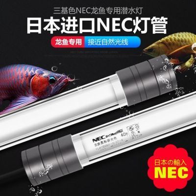 龍魚led燈和nec的區別（龍魚led燈和nec燈各有優缺點）