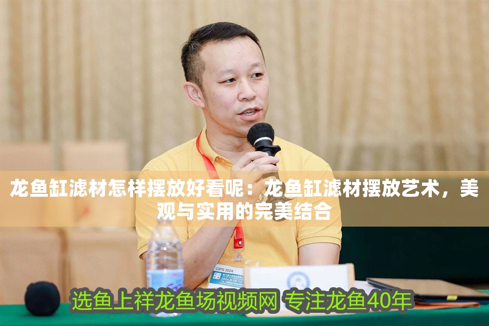 龍魚缸濾材怎樣擺放好看呢：龍魚缸濾材擺放藝術，美觀與實用的完美結合