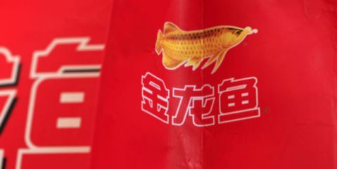 金龍魚價格策略（金龍魚價格調控機制）