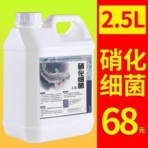 龍魚缸工具魚