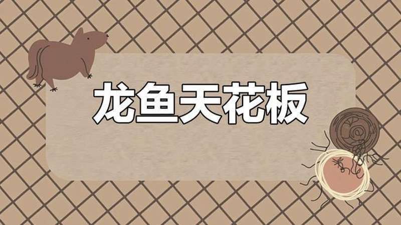 金龍七鰭的起源和歷史背景介紹