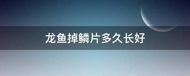 龍魚翻腮怎么治療最有效：龍魚掉鱗多久能長出來(銀龍魚掉鱗多久能長好
