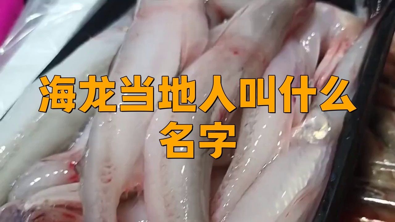 海里面的龍魚叫什么魚