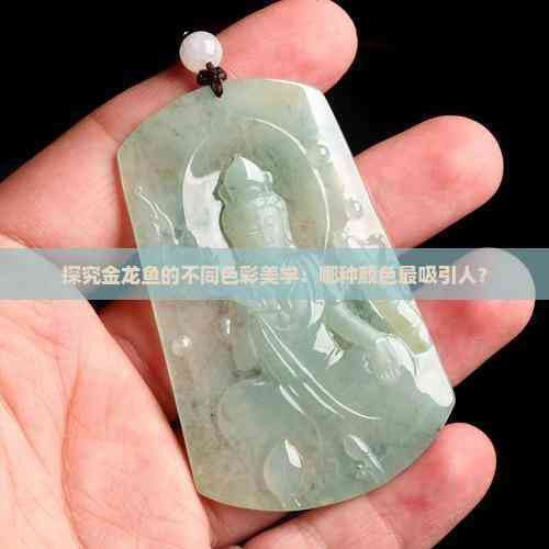 過背金龍魚用什么顏色的燈光養