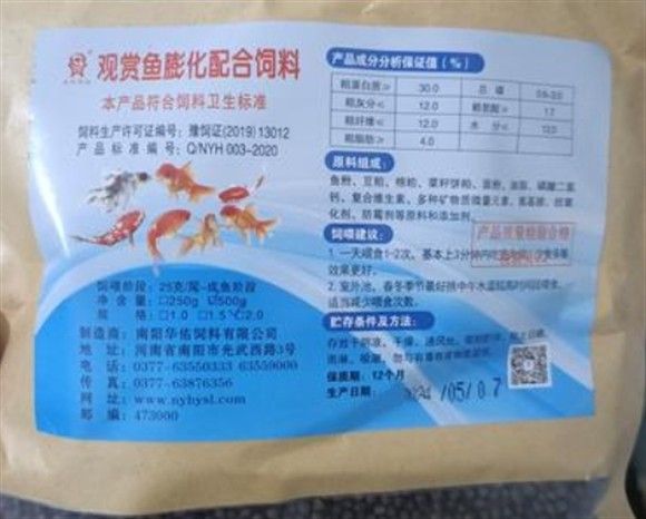 怎樣讓龍魚吃飼料長的快