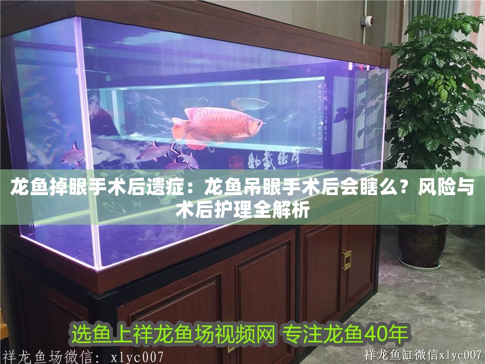 龍魚(yú)掉眼手術(shù)后遺癥：龍魚(yú)吊眼手術(shù)后會(huì)瞎么？風(fēng)險(xiǎn)與術(shù)后護(hù)理全解析