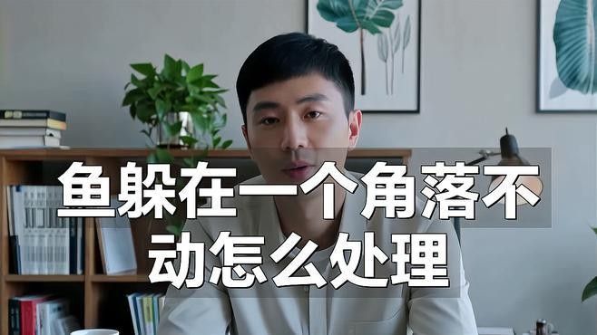 龍魚老躲在角落里