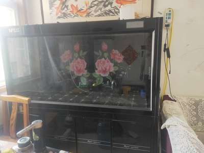 58同城賣二手龍魚(yú)怎么樣：58同城賣二手龍魚(yú)58同城賣二手龍魚(yú)平臺(tái)流程