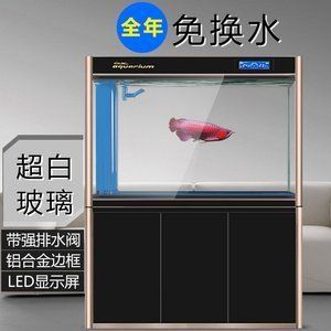 金龍魚老是在缸底怎么回事【金龍魚老是在缸底可能是由多種因素引起的,新魚入缸不適應(yīng)】