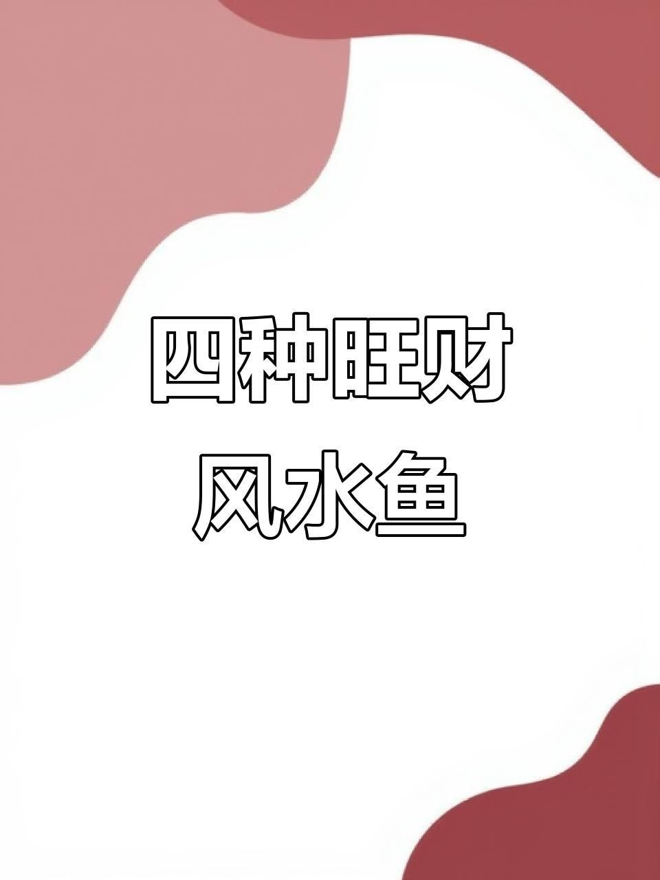 能否提供更多風水魚品種？