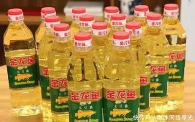 賣金龍魚好嗎賺錢嗎：賣金龍魚好嗎？