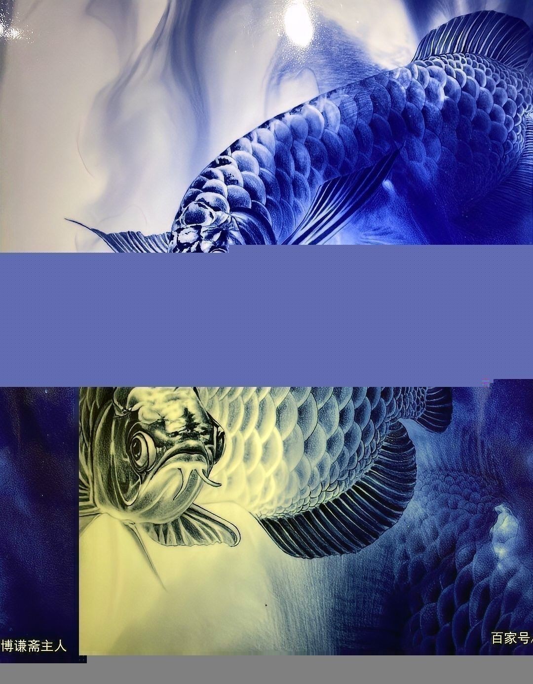 龍魚手繪圖片大全 龍魚手繪圖片大全 龍魚百科 第3張