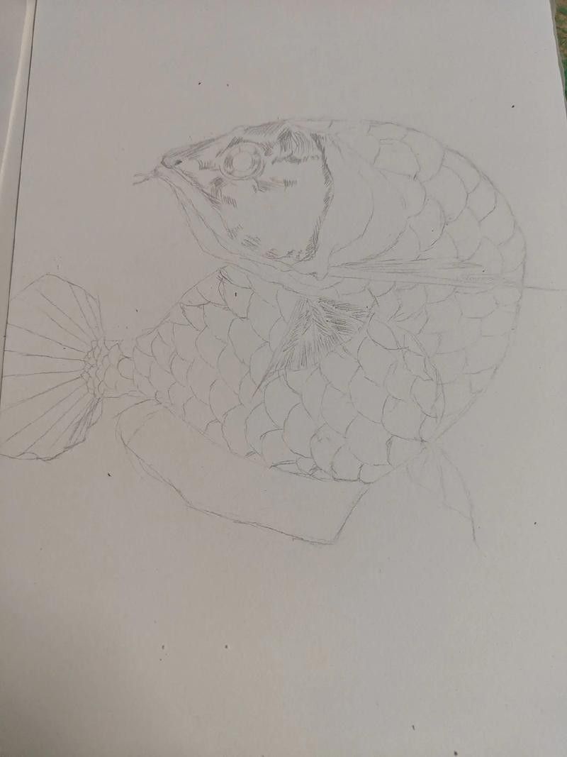 龍魚手繪圖片大全 龍魚手繪圖片大全 龍魚百科 第17張