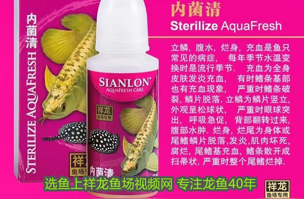 養(yǎng)龍魚用不用打氧水：養(yǎng)龍魚用不用打氧？深度解析龍魚養(yǎng)殖的氧氣需求
