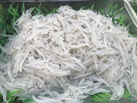 銀版魚繁殖成功案例分析：銀版魚繁殖后幼魚護理，銀版魚繁殖常見問題及解決方案