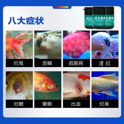 金龍魚白點病升溫到多少度會死：金龍魚白點病升溫到28度以上可以殺死寄生蟲