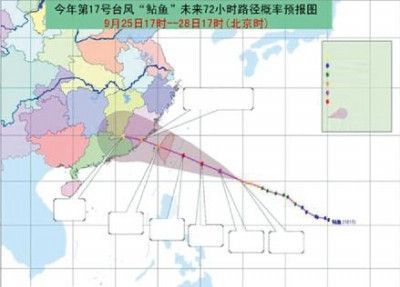 龍魚查詢真偽網站：如何識別龍魚的真偽？