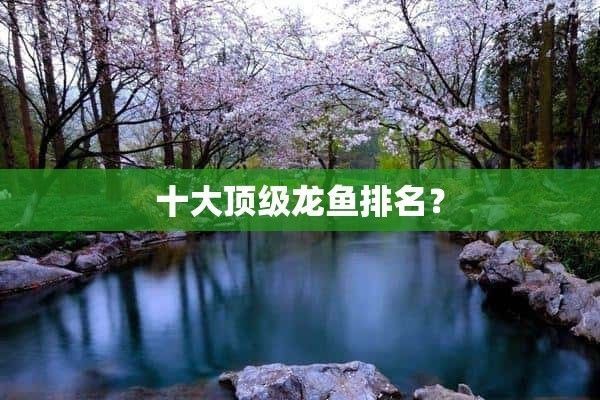 什么龍魚(yú)好，哪些龍魚(yú)是比較好養(yǎng)的？