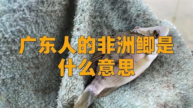 羅非魚在廣東的叫法