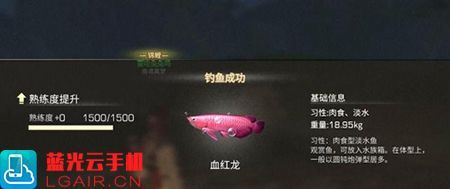 《明日之后》血紅龍魚餌選擇詳細信息推薦血紅龍魚餌選擇詳細信息：《明日之后》中血紅龍魚餌選擇的詳細信息