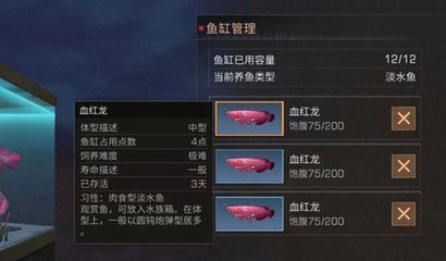 《明日之后》血紅龍魚餌選擇詳細信息推薦血紅龍魚餌選擇詳細信息：《明日之后》中血紅龍魚餌選擇的詳細信息