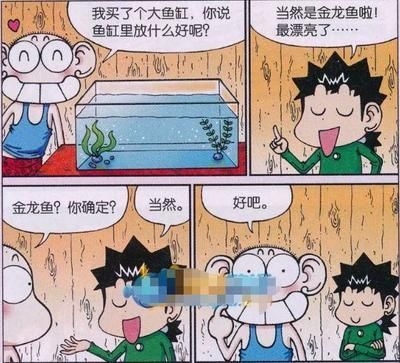 金龍魚的作文怎么寫：關于金龍魚的作文怎么寫三年級金龍魚的作文介紹