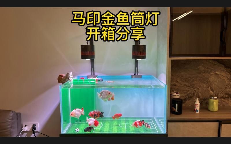 馬印60w筒燈好不好