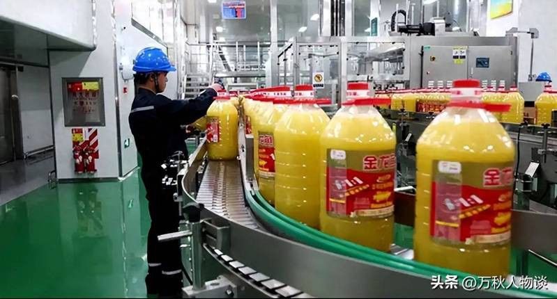 金龍魚為什么不能賣
