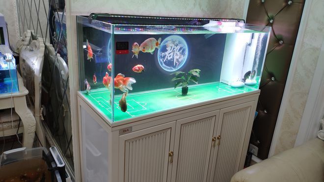 龍魚跟龍魚打架怎么辦：龍魚發(fā)生打架時(shí)，應(yīng)采取以下措施，減少龍魚之間的爭(zhēng)斗