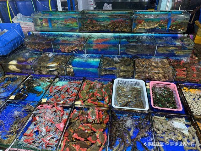 惠州賣六角龍魚的地方在哪里有