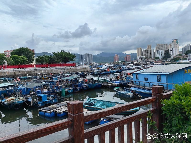 惠州賣六角龍魚的地方在哪里有