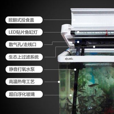 西龍魚缸水泵安裝視頻:西龍魚缸水泵安裝 龍魚百科 第4張 西龍魚缸水泵安裝視頻:西龍魚缸水泵安裝 西龍魚缸水泵安裝視頻:西龍魚缸水泵安裝 龍魚百科 第4張