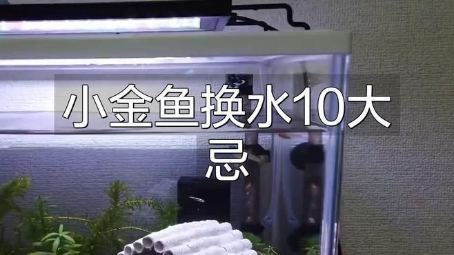 金魚受傷后多久換一次水？