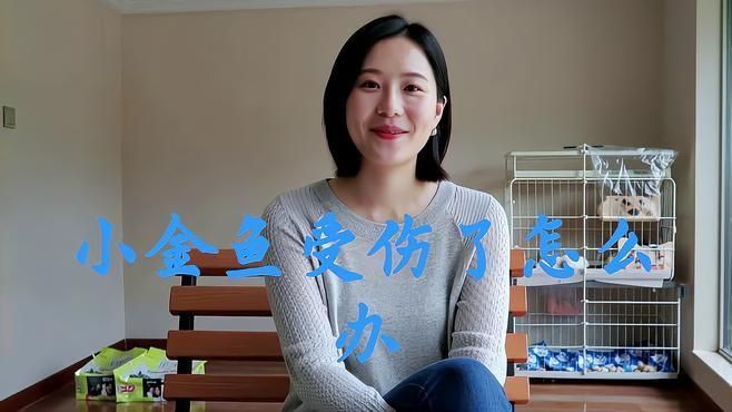 金魚受傷后多久換一次水？