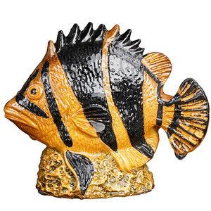 金龍魚變色過程：金魚的體色變化之謎