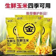 金龍魚餌料玉米