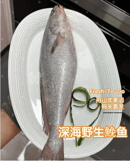 鮸魚圖片