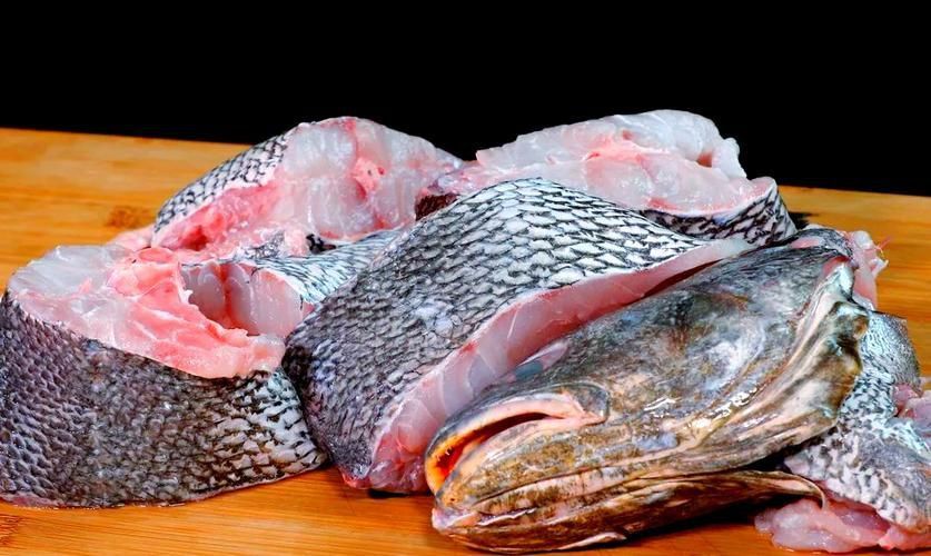 鮸魚(yú)圖片