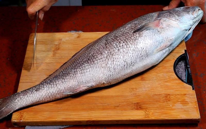 鮸魚(yú)圖片