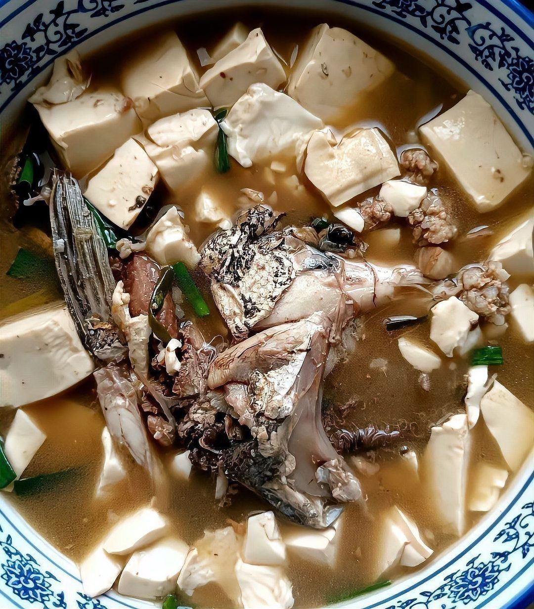 鮸魚(yú)圖片