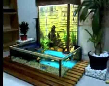 負壓魚缸圖片大全集（instagram負壓魚缸設計圖欣賞負壓魚缸實物高清圖）