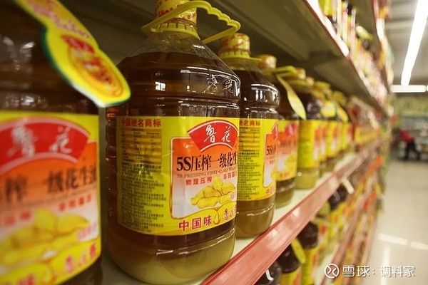 金龍魚(yú)屬于什么公司