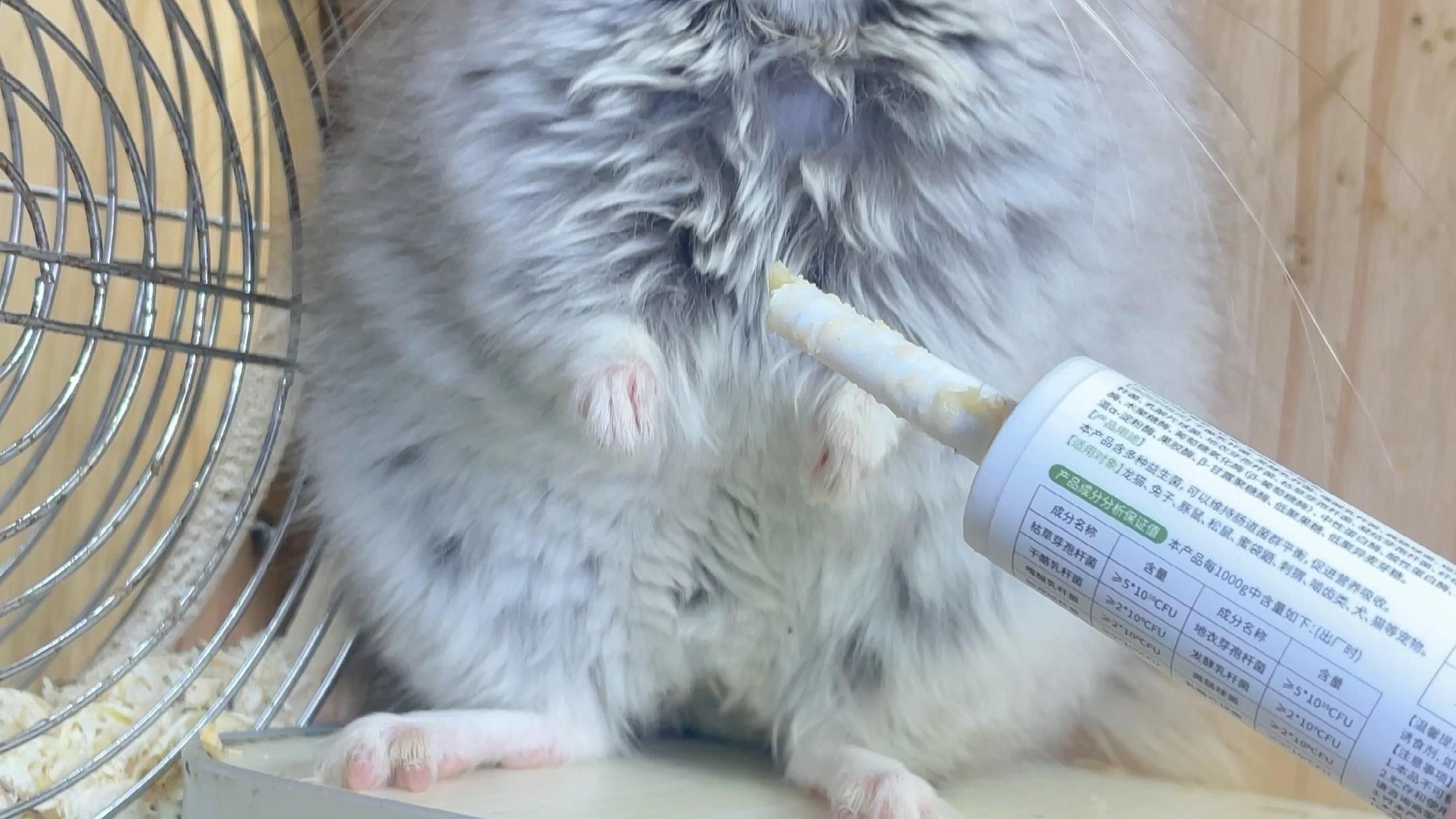 龍貓換糧后軟便怎么辦？