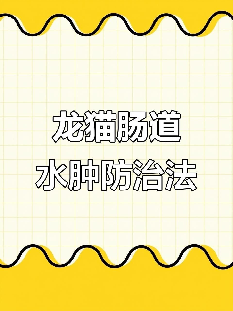 龍貓換糧后軟便怎么辦？