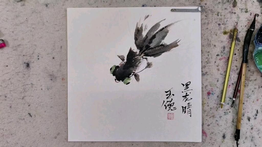 如何判斷黑龍睛金魚的品種純度？
