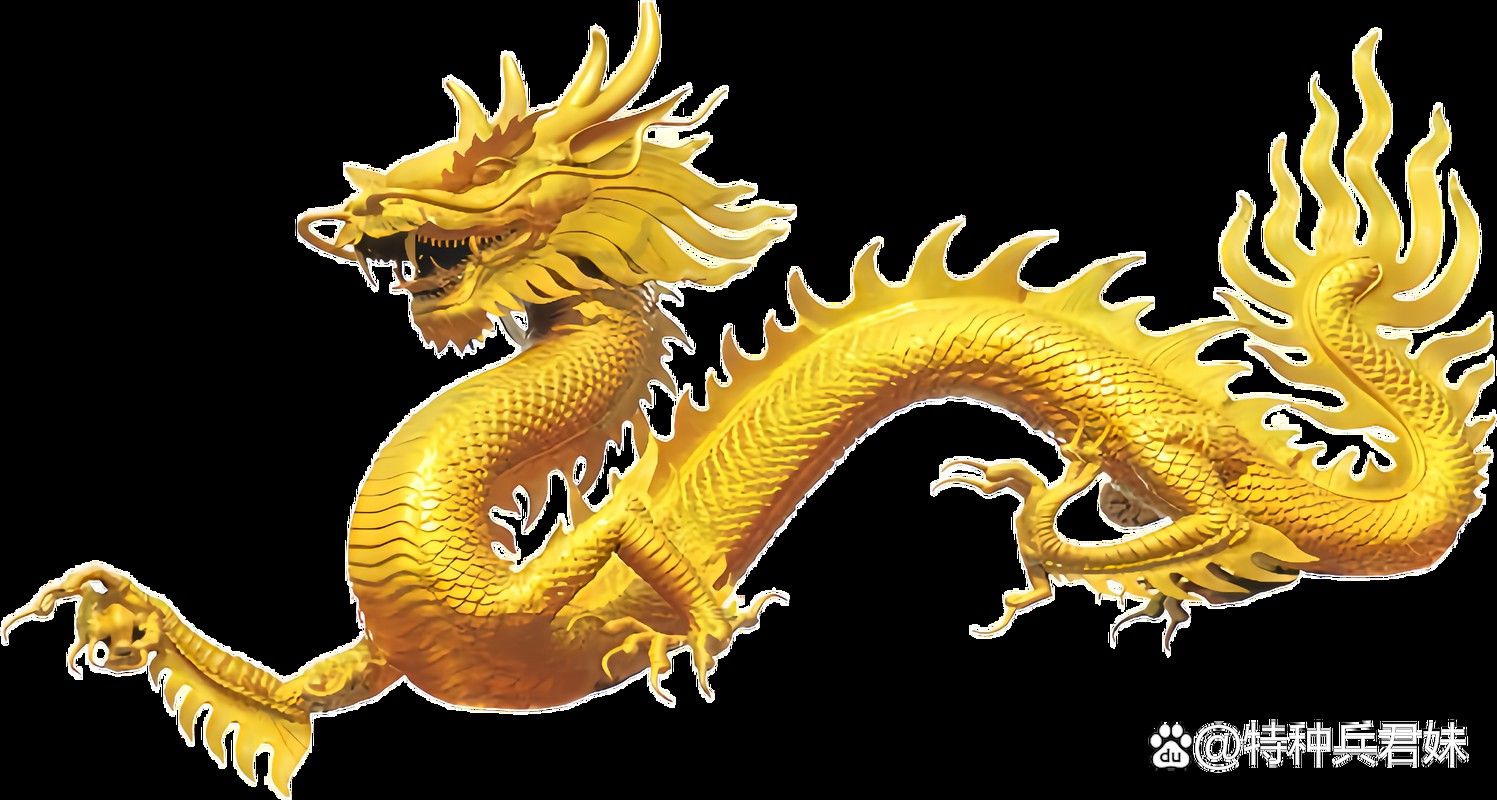 哪里可以找到高清的招財金龍圖片？