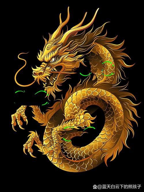 哪里可以找到高清的招財金龍圖片？