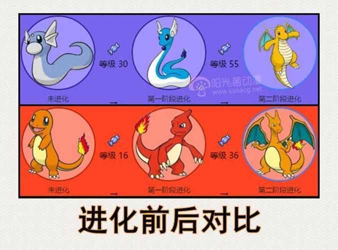 還有哪些養(yǎng)龍小說值得推薦？