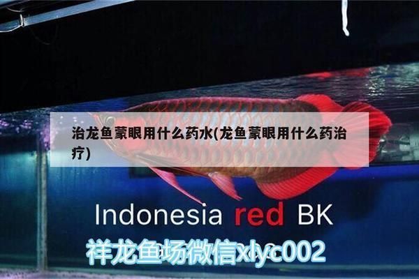 龍魚蒙眼用什么藥最好（龍魚蒙眼治療后注意事項，龍魚蒙眼與水質關系探究）