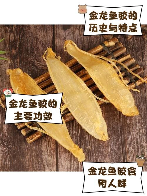 正宗金龍魚膠圖片大全及價格